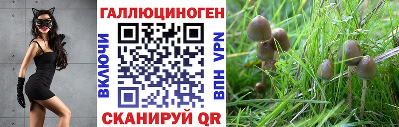 Псилоцибиновые грибы MAGIC MUSHROOMS Апрелевка